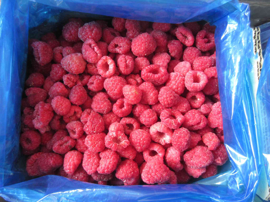 High Quality Bulk Frozen Raspberries Frozen Raspberry Bulk Packaging Fruit