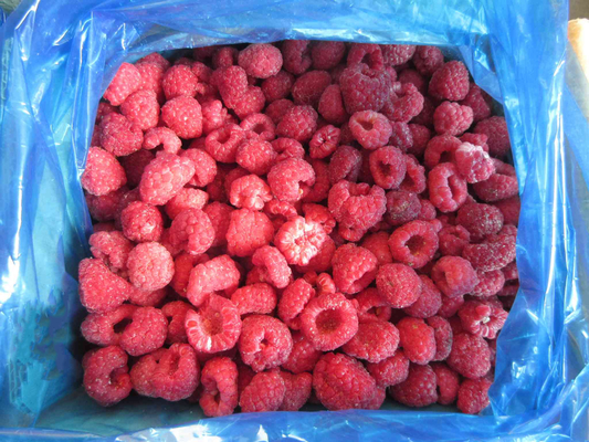 High Quality Bulk Frozen Raspberries Frozen Raspberry Bulk Packaging Fruit