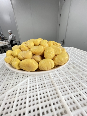 2025 New Crop Sweet Frozen Chestnuts Kernel for Sale