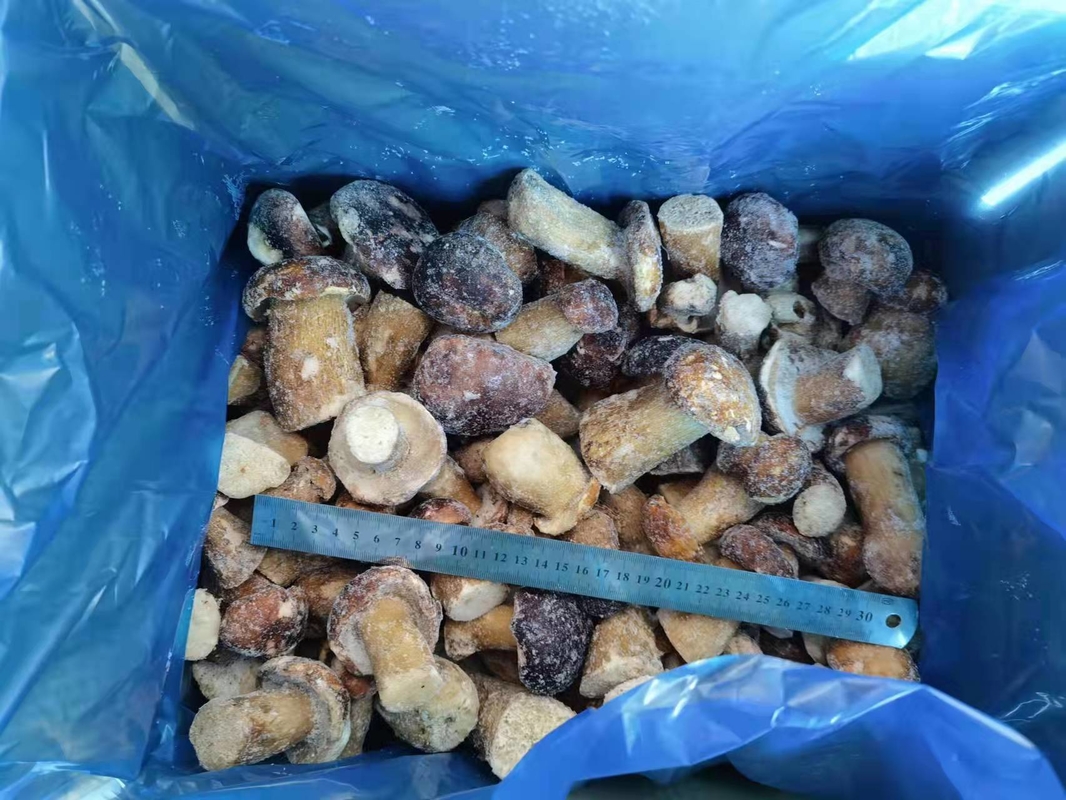 2025 New Crop high quality frozen Boletus Edulis Mushrooms