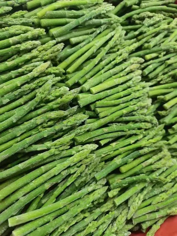 Get the Best Frozen Vegetable for Your Business Needs Green Asparagus