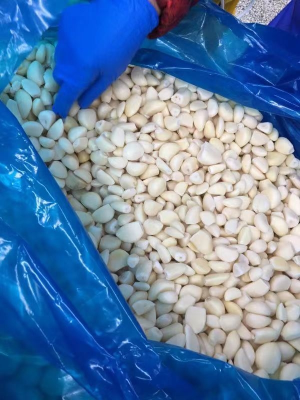 Get the Best Frozen Vegetable Frozen IQF Peeled Garlic Cloves Dices and Puree at Competitive Prices