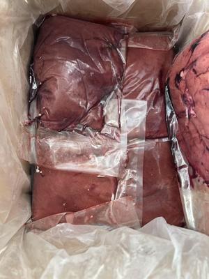 Preço Barato Alta Qualidade Baixa Gordura Limpa de Cordeiro Congelada HALAL