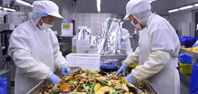 Framboesas Congeladas a Granel de Alta Qualidade Embalagem a Granel de Framboesas Congeladas Fruta 10