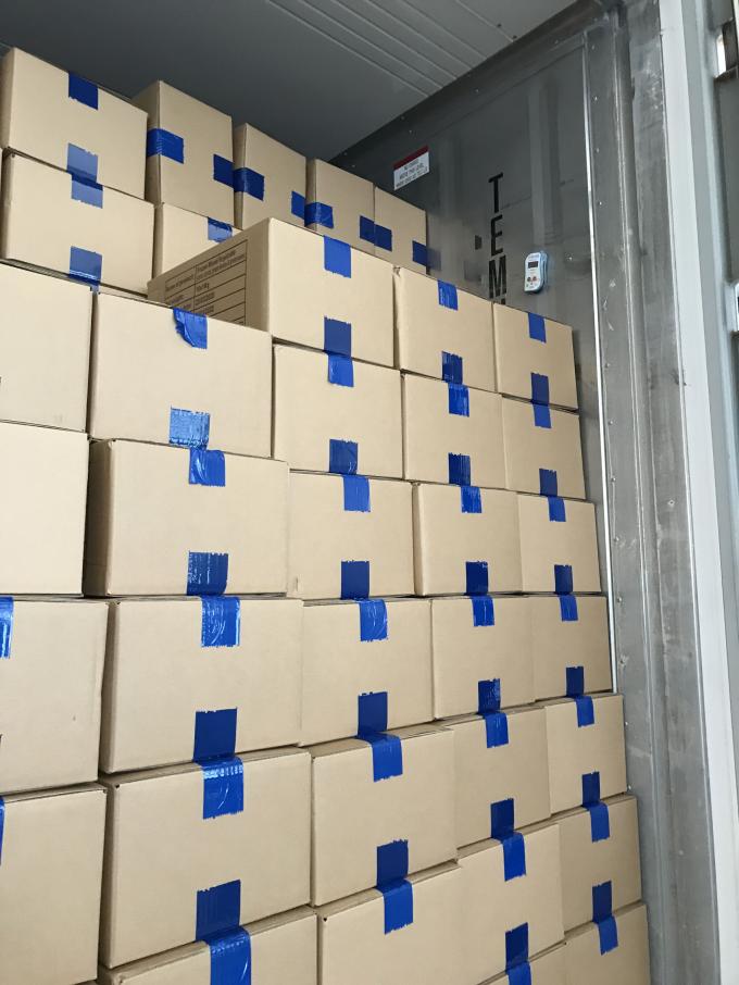 Framboesas Congeladas a Granel de Alta Qualidade Embalagem a Granel de Framboesas Congeladas Fruta 12