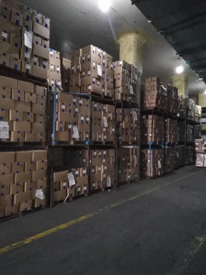 Framboesas Congeladas a Granel de Alta Qualidade Embalagem a Granel de Framboesas Congeladas Fruta 13