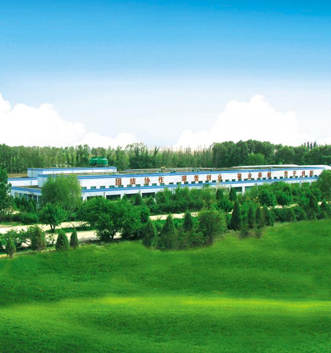 Sinocharm Produto 4-Estrelas BRC-A P&ecirc;ssego Amarelo Fresco 10x10mm Frutos congelados em cubos IQF P&ecirc;ssego Amarelo em cubos 8