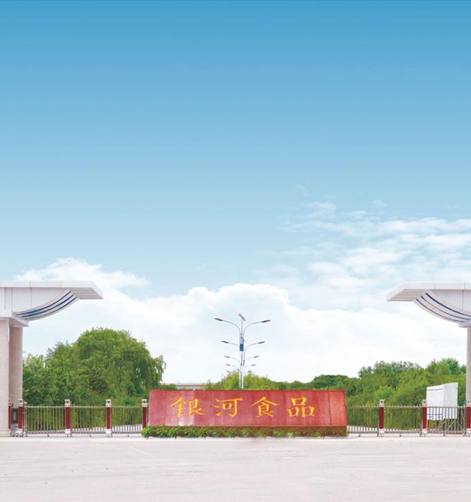 Sinocharm Produto 4-Estrelas BRC-A P&ecirc;ssego Amarelo Fresco 10x10mm Frutos congelados em cubos IQF P&ecirc;ssego Amarelo em cubos 9