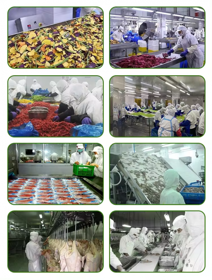 Ab&oacute;bora Congelada em Embalagem a Granel para Atacado, Cubos de Ab&oacute;bora IQF, Vegetais Congelados 5