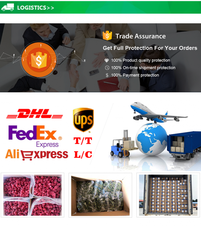 Castanha Descascada Congelada IQF de Bom Gosto em Embalagem Pequena Fornecedor Chin&ecirc;s Castanha Congelada 4