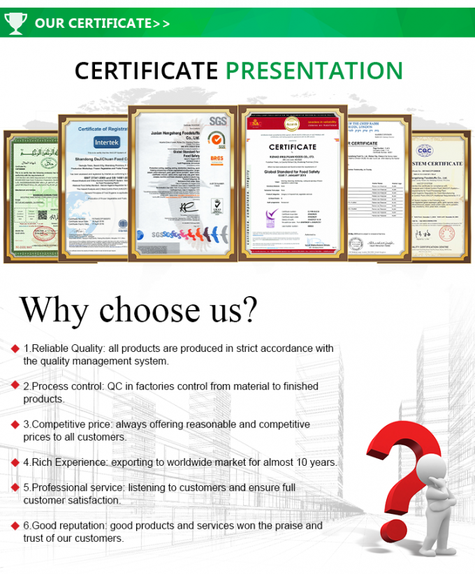 Novas fatias ou cortes de raiz de l&oacute;tus congelada, com bom pre&ccedil;o 3