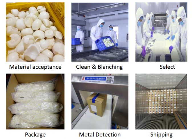 Vendas Quentes de Cebolinhas Congeladas para Venda a Gr&atilde;o 1