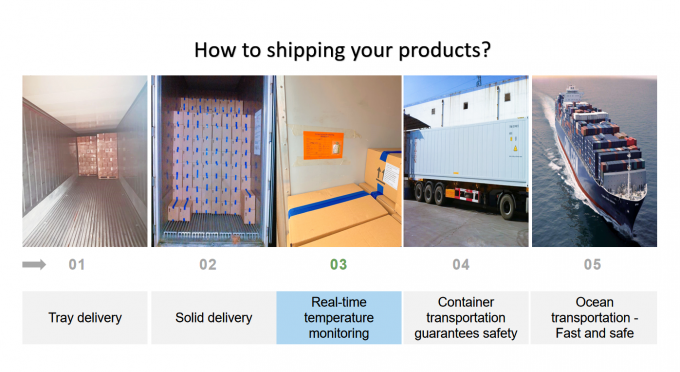 Banana Iqf Congelada da China Produto Quente Fatiada para Exporta&ccedil;&atilde;o Com Alta Qualidade 2