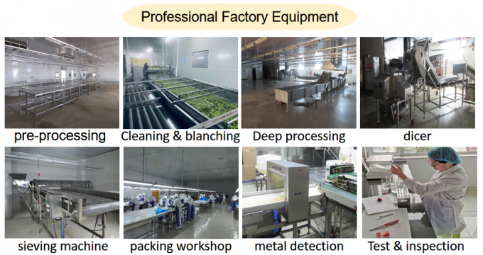Gr&aacute;fico de produtos org&acirc;nicos de espinheiro-do-mar 3