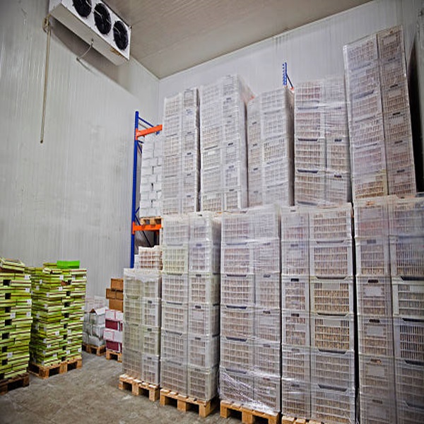 Pre&ccedil;o Barato Alta Qualidade Baixa Gordura Limpa de Cordeiro Congelada HALAL 3