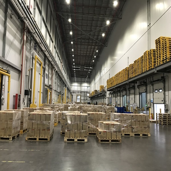 Pre&ccedil;o Barato Alta Qualidade Baixa Gordura Limpa de Cordeiro Congelada HALAL 1