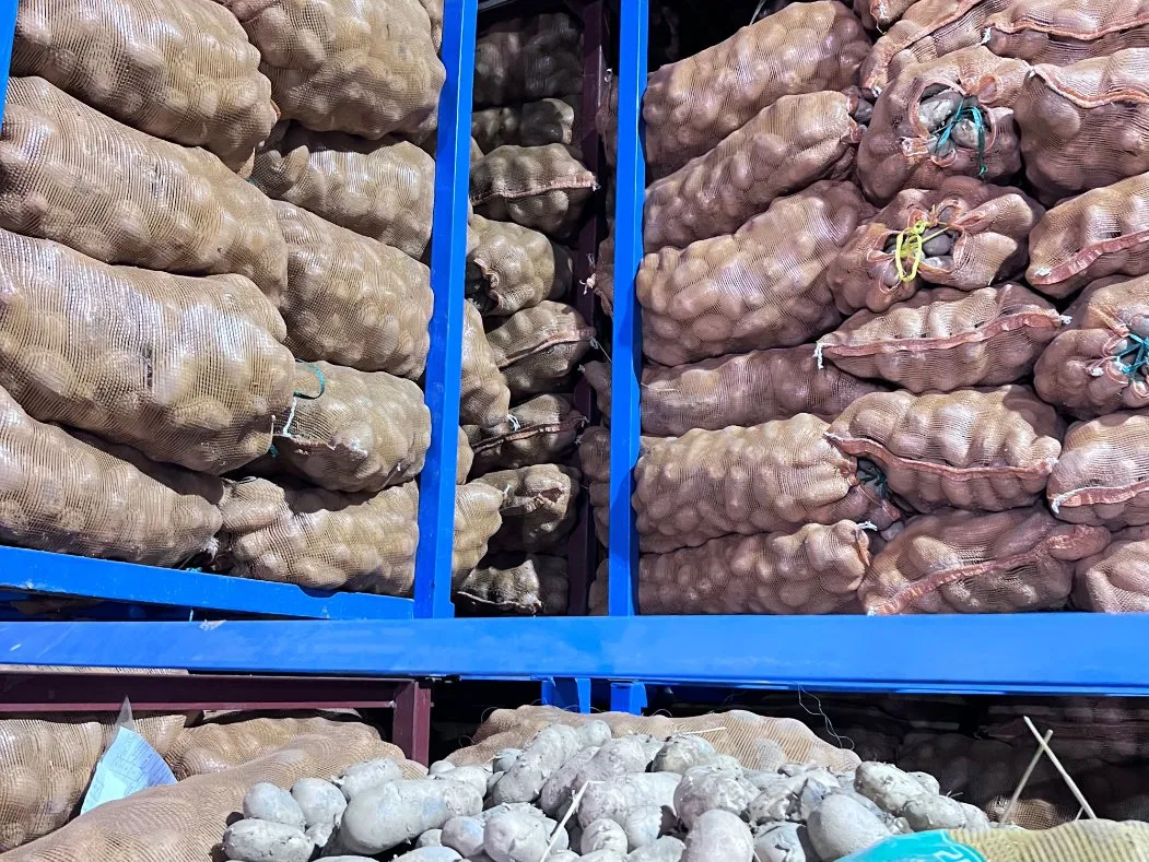 Carregamento e entrega atempada de batatas fritas congeladas 0