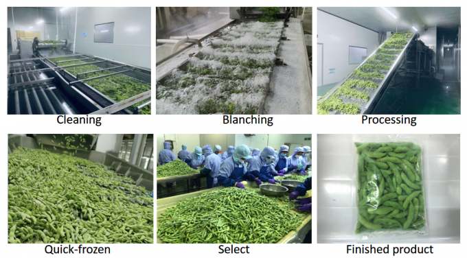 Vegetais congelados org&acirc;nicos ricos em prote&iacute;nas prontos para cozinhar 4