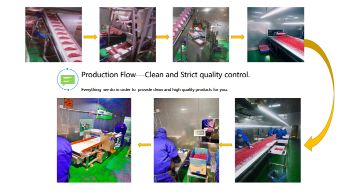 BRC, KOSHER, HALAL, IFS, BSCI IQF Mirtilo Vermelho Congelado Cranberry 100% Gel&eacute;ia de Frutas Naturais Embalagem a Granel com 2 Anos de Validade Balde 3