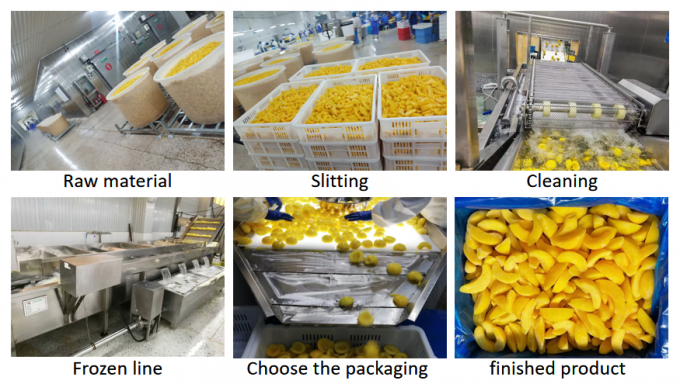 Meio de p&ecirc;ssego amarelo congelado em massa de 10 kg de alta qualidade - ideal para uso em lata e exporta&ccedil;&atilde;o 3