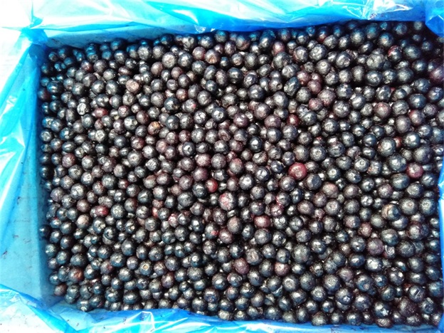 Mirtilos Inteiros Congelados IQF Premium para Cozinha e Smoothies Intensos 2