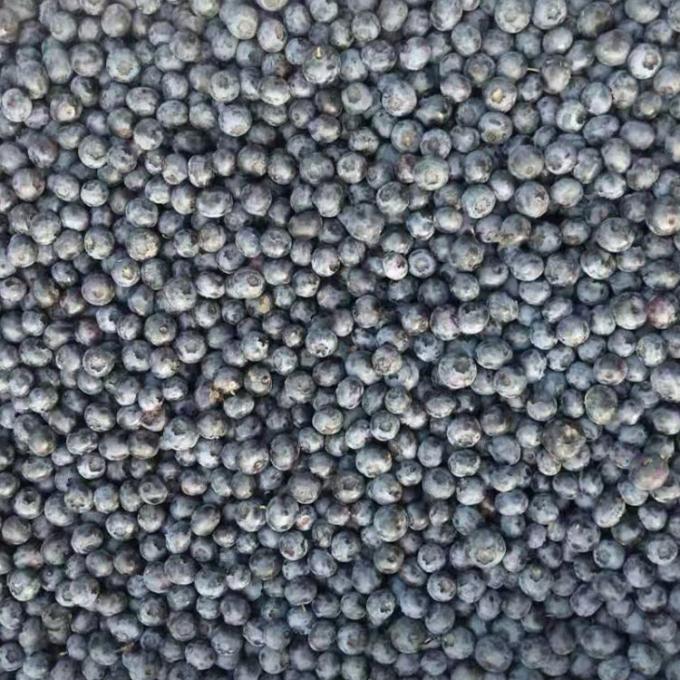 Mirtilos Inteiros Congelados IQF Premium para Cozinha e Smoothies Intensos 1