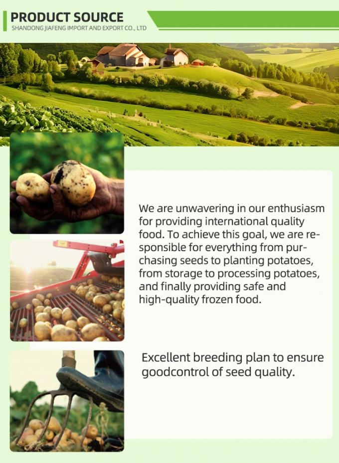 Autom&aacute;tico Batatas fritas congeladas Batatas fritas congeladas Biol&oacute;gicas IQF Batatas fritas em massa Embalagem 10 kg Material fresco 1