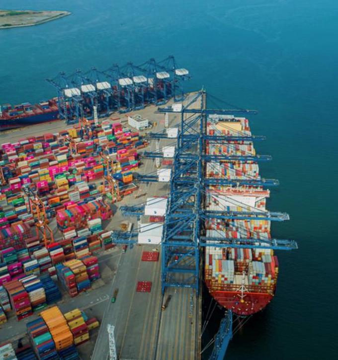 IQF P&ecirc;ssegos Amarelos Org&acirc;nicos em Metades Frutas Congeladas Sabor Doce Embalagem a Granel Polpa em &Aacute;gua Conservada Cubos Inteiros e Metades Dispon&iacute;veis 13