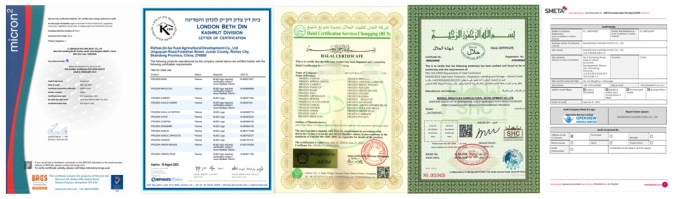 Gr&aacute;fico de produtos org&acirc;nicos de espinheiro-do-mar 5