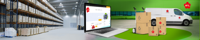 Venda por Atacado e Varejo de Metades de Damasco Congeladas IQF de Alta Qualidade a Pre&ccedil;o de F&aacute;brica Preserva&ccedil;&atilde;o em &Aacute;gua Embalagem a Granel 1