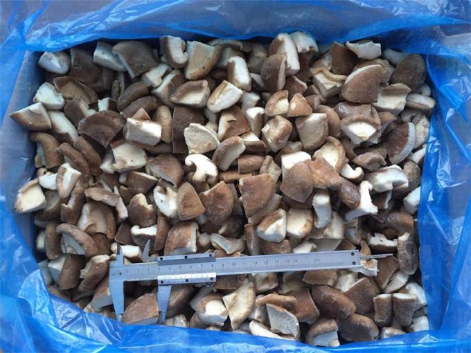 Origem China Venda Quente Iqf Alimento Cogumelo Cultivo Cogumelo Shiitake para Shiitake Congelado 4