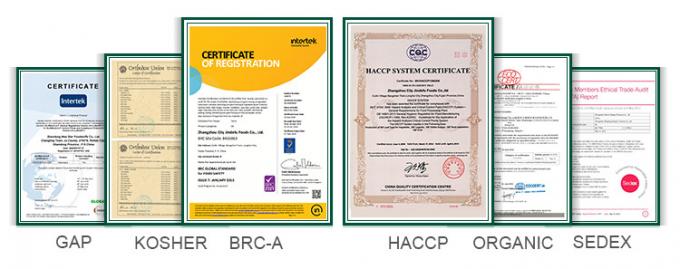 F&aacute;brica de Vegetais Congelados com Certifica&ccedil;&atilde;o HALAL IQF Cubos de Tomate 10mm Tomates em Cubos Congelados na China 1