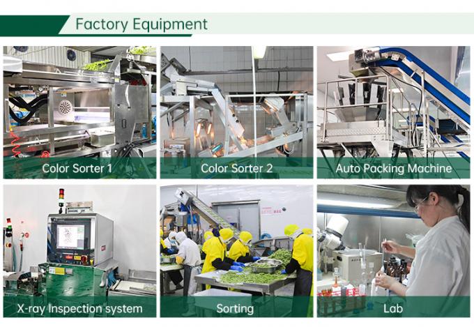 F&aacute;brica de Vegetais Congelados com Certifica&ccedil;&atilde;o HALAL IQF Cubos de Tomate 10mm Tomates em Cubos Congelados na China 2