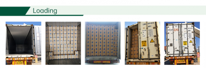 F&aacute;brica de Vegetais Congelados com Certifica&ccedil;&atilde;o HALAL IQF Cubos de Tomate 10mm Tomates em Cubos Congelados na China 4