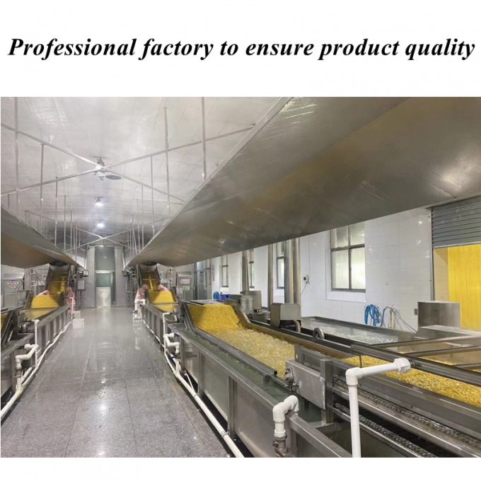 Milho Doce Congelado de Alta Qualidade Pre&ccedil;o Competitivo Gr&atilde;os de Milho Doce Org&acirc;nico N&atilde;o-OGM Embalagem a Granel 1