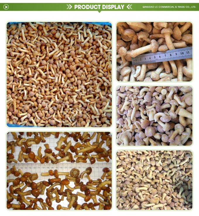 Cogumelos org&acirc;nicos cultivados selvagens saud&aacute;veis naturais nutritivos frescos inteiros cogumelos congelados IQF Nameko congelado 1