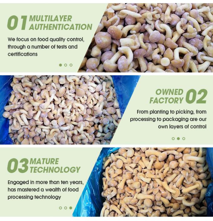 Cogumelos org&acirc;nicos cultivados selvagens saud&aacute;veis naturais nutritivos frescos inteiros cogumelos congelados IQF Nameko congelado 3