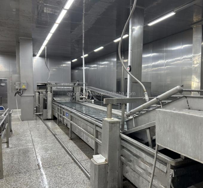 IQF Quatro Vegetais Congelados Ervilha&Milho Doce&Cenoura&Vagem 9