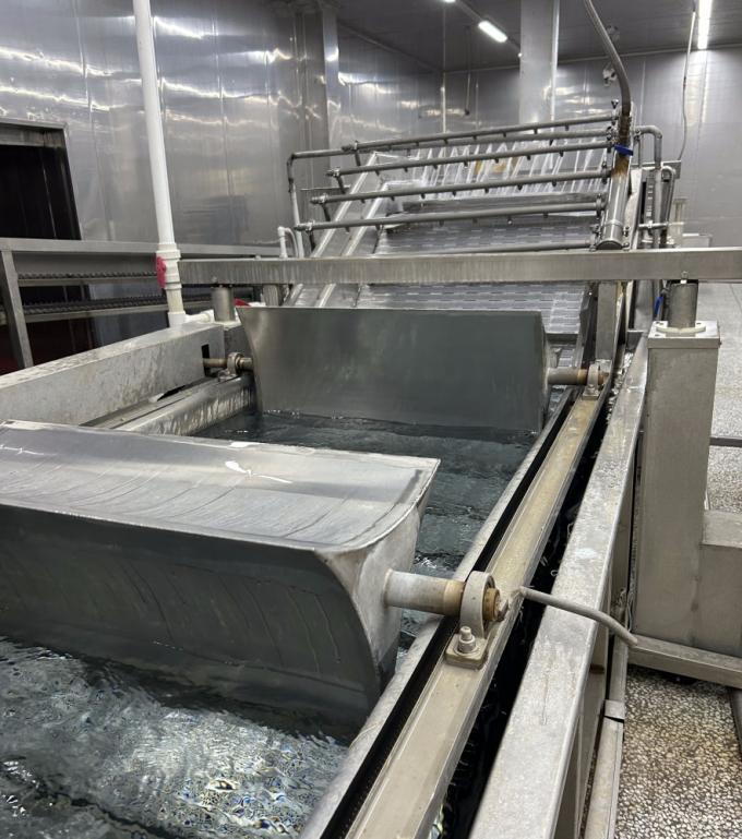 IQF Quatro Vegetais Congelados Ervilha&Milho Doce&Cenoura&Vagem 12