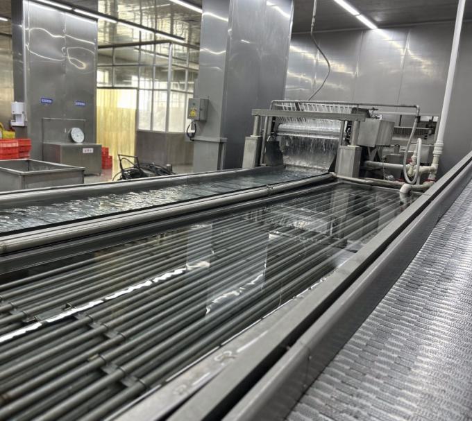 IQF Quatro Vegetais Congelados Ervilha&Milho Doce&Cenoura&Vagem 13