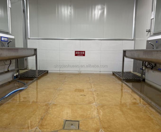 IQF Quatro Vegetais Congelados Ervilha&Milho Doce&Cenoura&Vagem 14