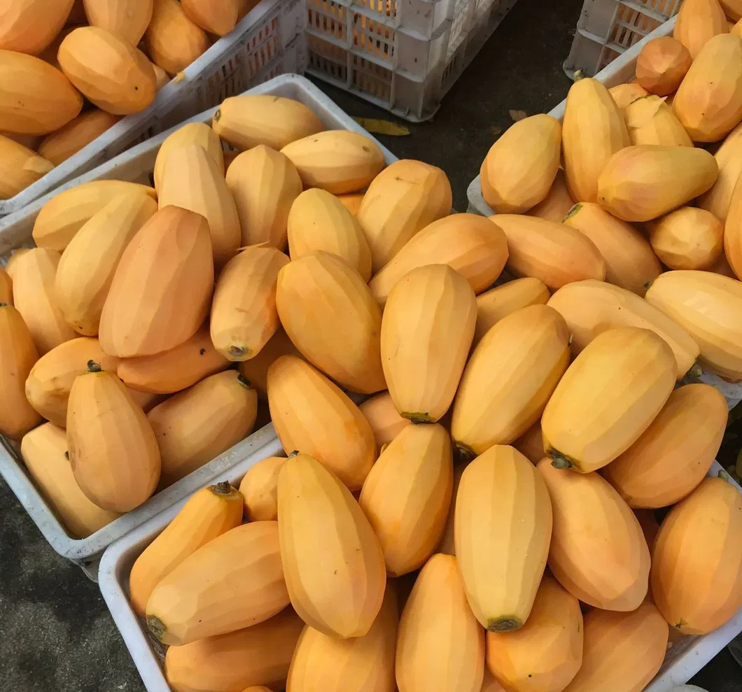 Aumente suas Vendas com Deliciosa Fruta Congelada IQF de Papaia 0