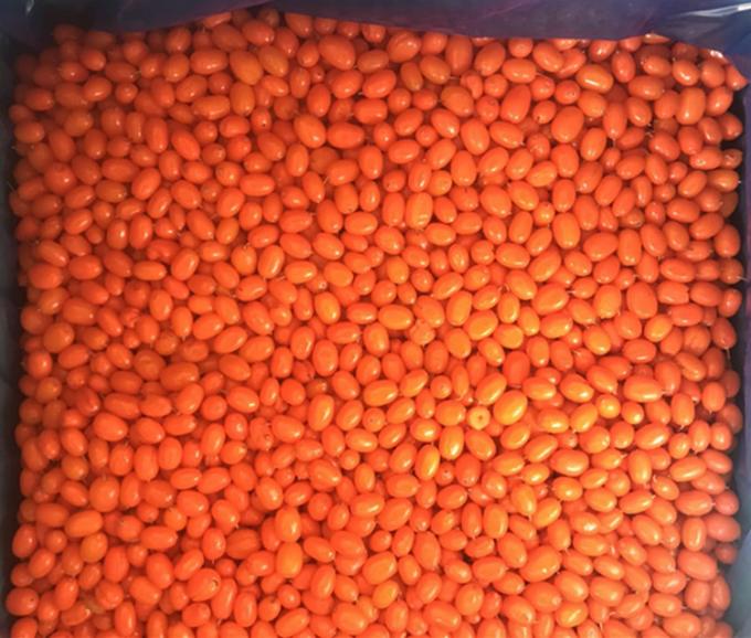 Origem China IQF Congelado Fresco Espinheiro-mar Selvagem de Primeira Classe Espinheiro-mar Mirtilo Vermelho Framboesa, Mirtilo Frutas Mistas 0