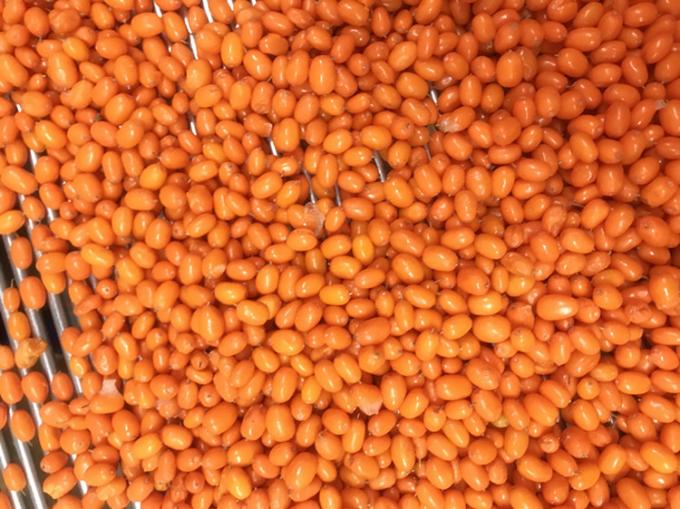 Origem China IQF Congelado Fresco Espinheiro-mar Selvagem de Primeira Classe Espinheiro-mar Mirtilo Vermelho Framboesa, Mirtilo Frutas Mistas 2