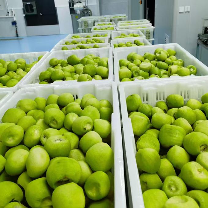 Kiwi Fruta Congelada Fruta Congelada Bola de Kiwi Qualidade Natural 3