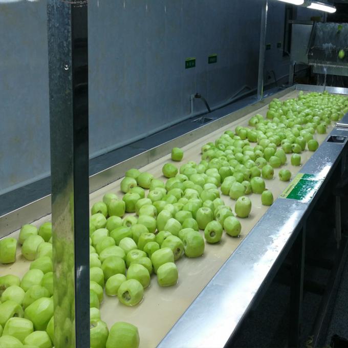 Kiwi Fruta Congelada Fruta Congelada Bola de Kiwi Qualidade Natural 5