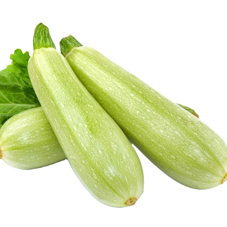 Vegetais Congelados para o Seu Negócio de Alimentos Perfeitos para as Suas Necessidades de Serviço de Alimentação abobrinha 2