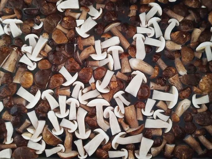 Cogumelos congelados IQF BOLETUS EDULIS Grau A 24 meses Prazo de validade ISO HACCP BRC KOSHER HALAL Certificado 10 toneladas MOQ 0