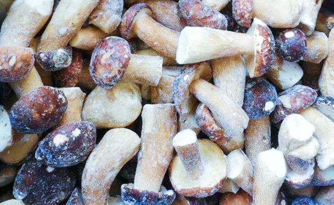 Cogumelos congelados IQF BOLETUS EDULIS Grau A 24 meses Prazo de validade ISO HACCP BRC KOSHER HALAL Certificado 10 toneladas MOQ 2