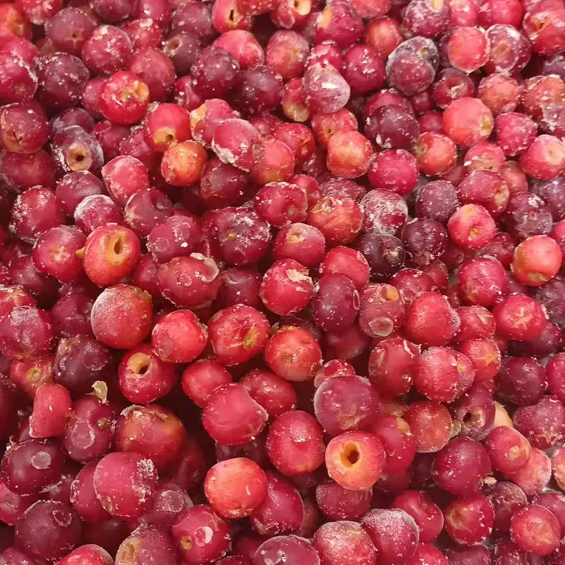 Encontre a Melhor Fruta Congelada para o Seu Negócio e a Solução Acessível Sweetcherry 0